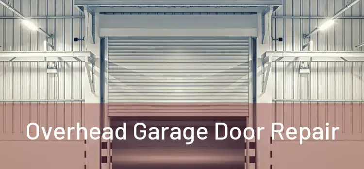  Overhead Garage Door Repair 